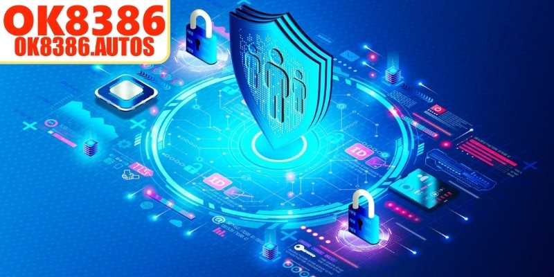 Quy trình sử dụng dữ liệu