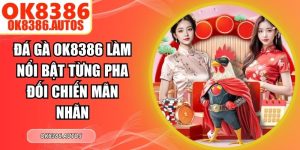 Đá Gà OK8386 Làm Nổi Bật Từng Pha Đối Chiến Mãn Nhãn