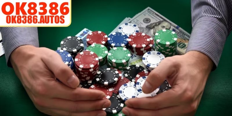 Phân tích xu hướng đặt vốn 