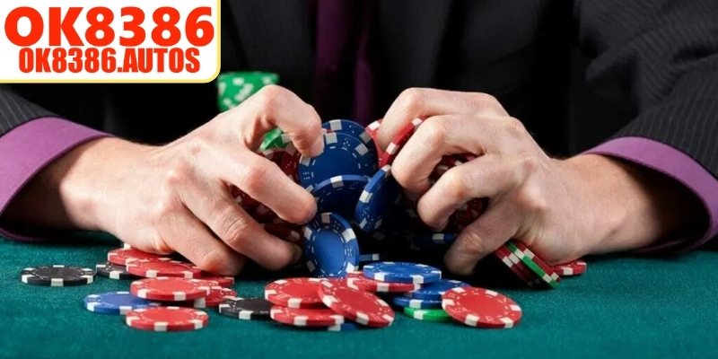 Tổng quan danh mục kinh nghiệm cá cược